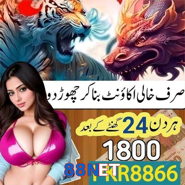 88NET