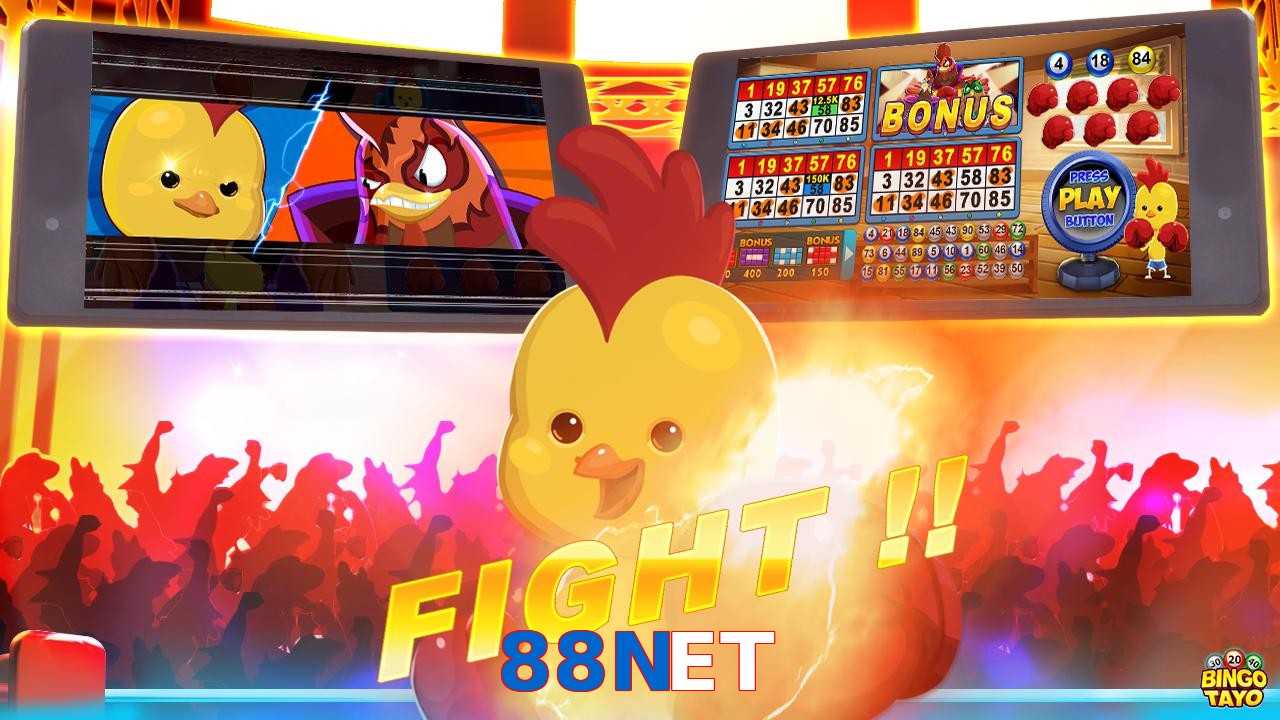 88NET