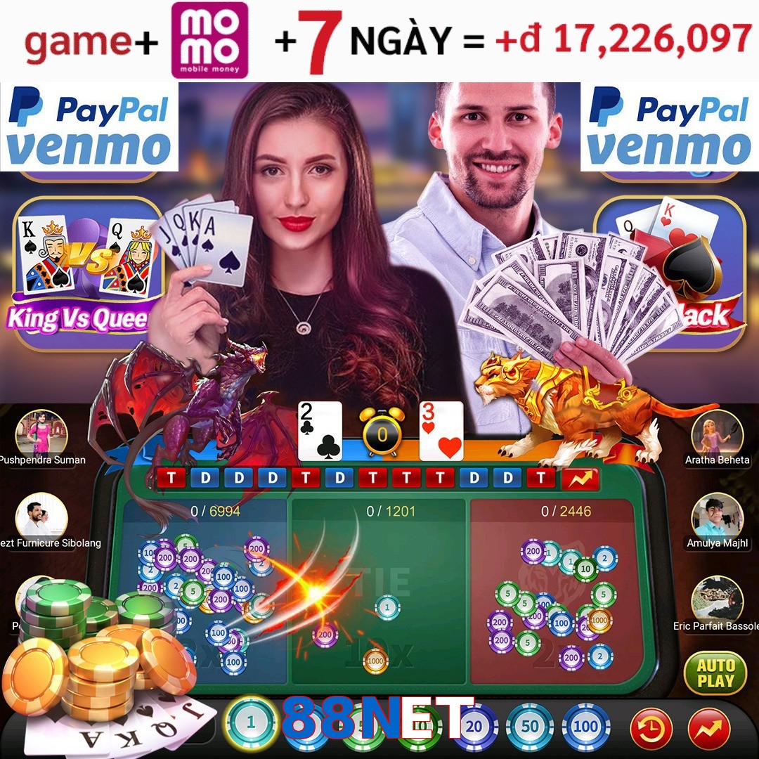 88NET