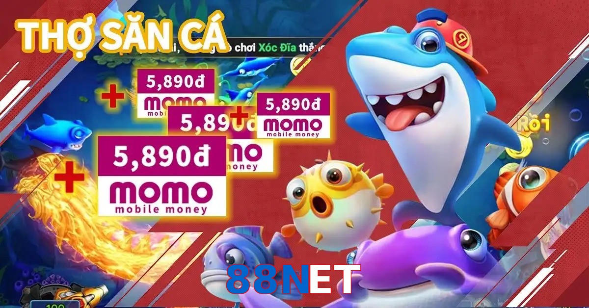 88NET