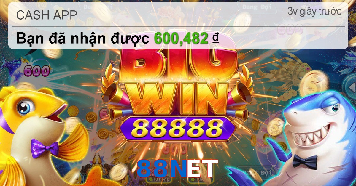 88NET