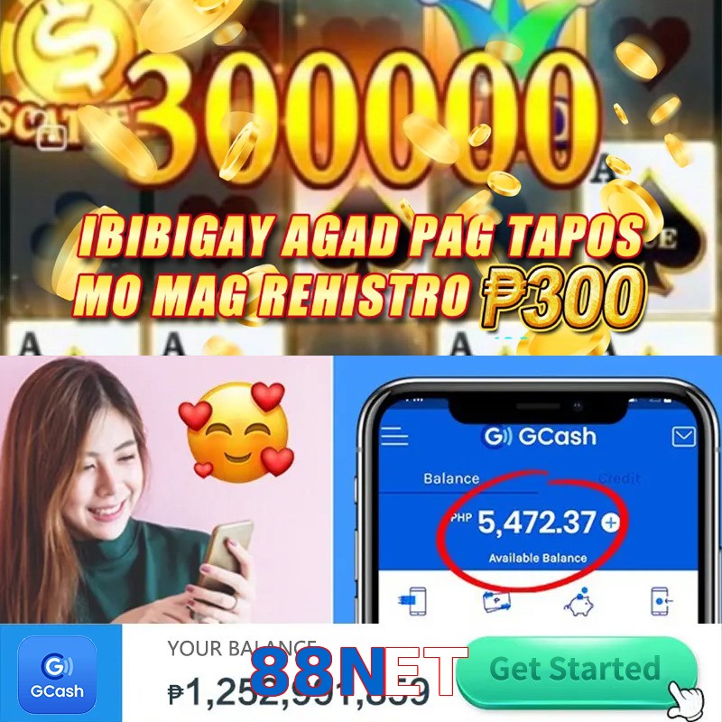 88NET
