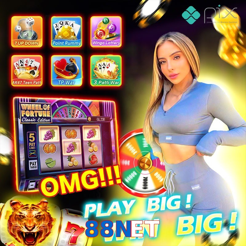 88NET