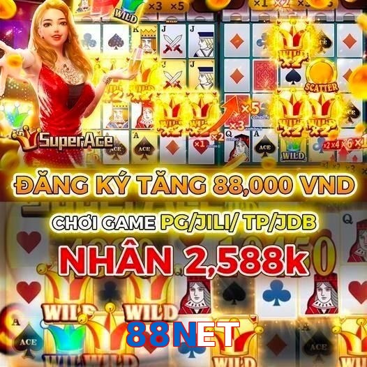 88NET