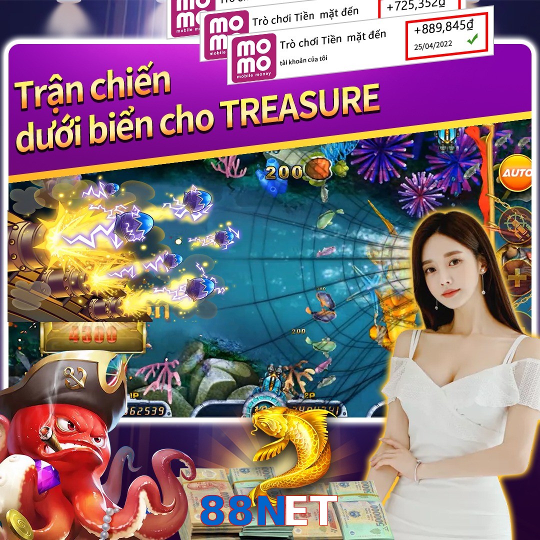 88NET