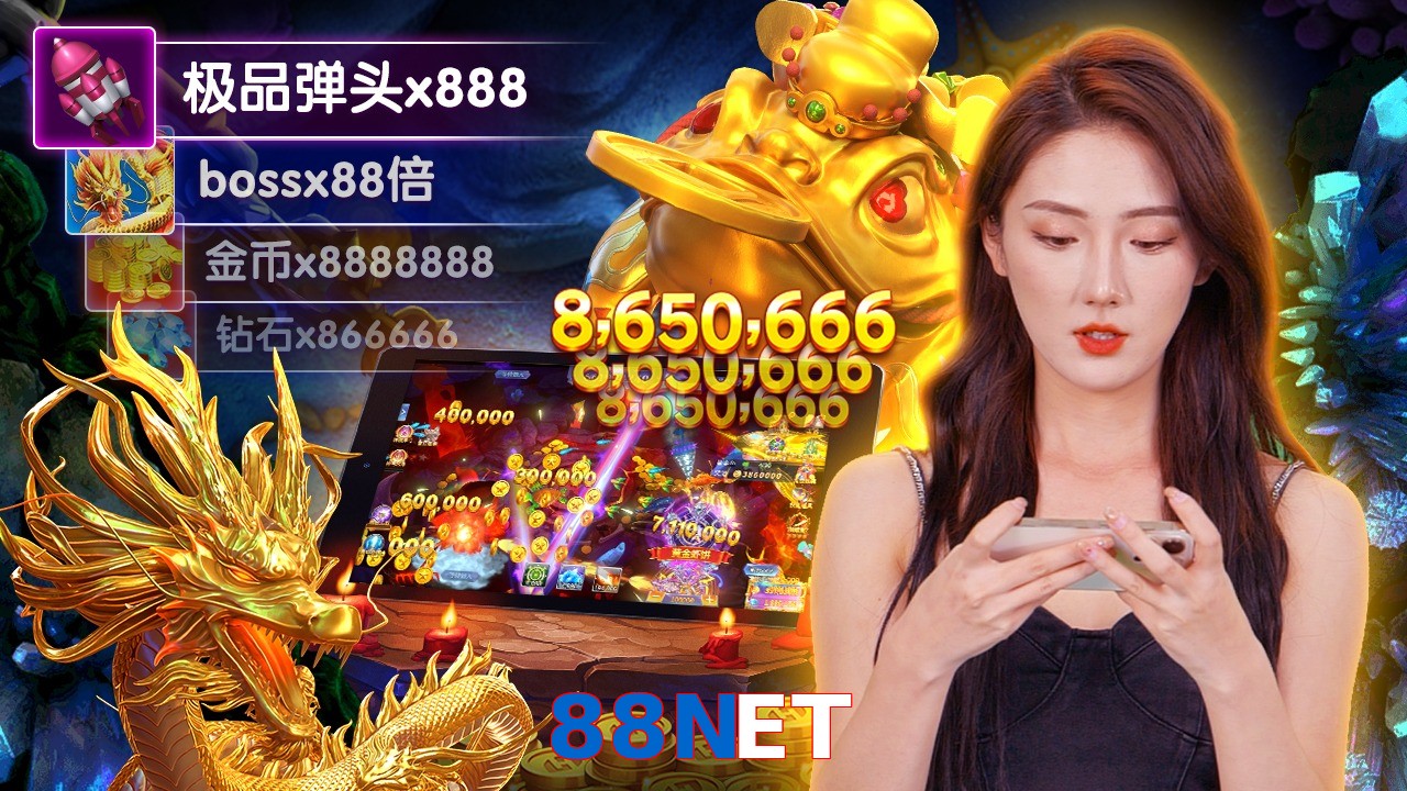 88NET